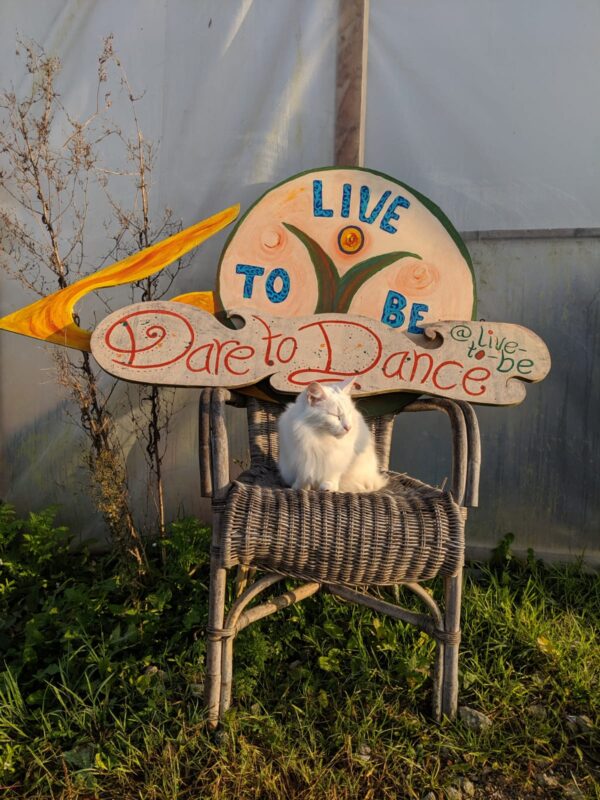 Keylis en Live to be 2019 11 24 at 10.00.44