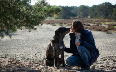 ‘Kruip eens In de huid van een dier’ – Joyful Connection organiseert een fysieke (15-4) en digitale (13-4) workshop