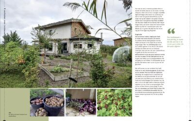 🌿 Ontdek de Duurzame Toekomst met ORIO Architecten! 🏡