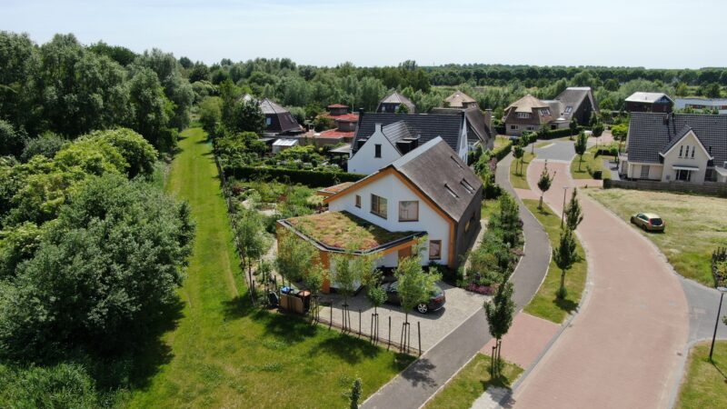 DJI 0833