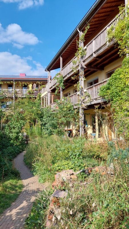 cpo-project-houtbouw-collectief-duurzaam-ecologisch-architect