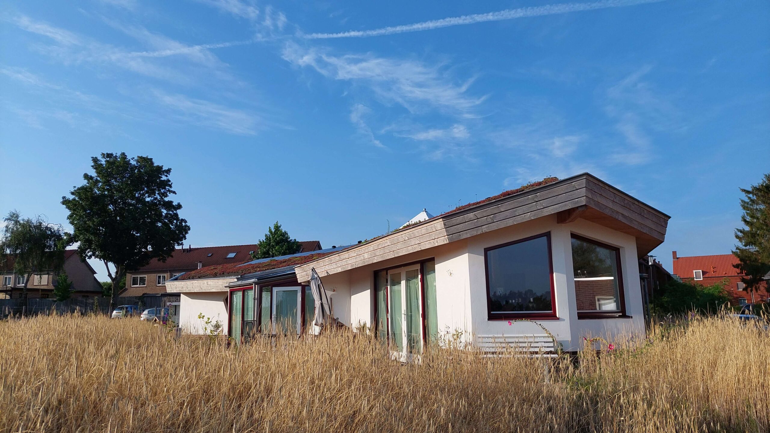 houtbouw-ecologisch-duurzaam-architect-architectuur3 geometrisch-uniek-maatwerk-maasdam-architect-natuur-groen