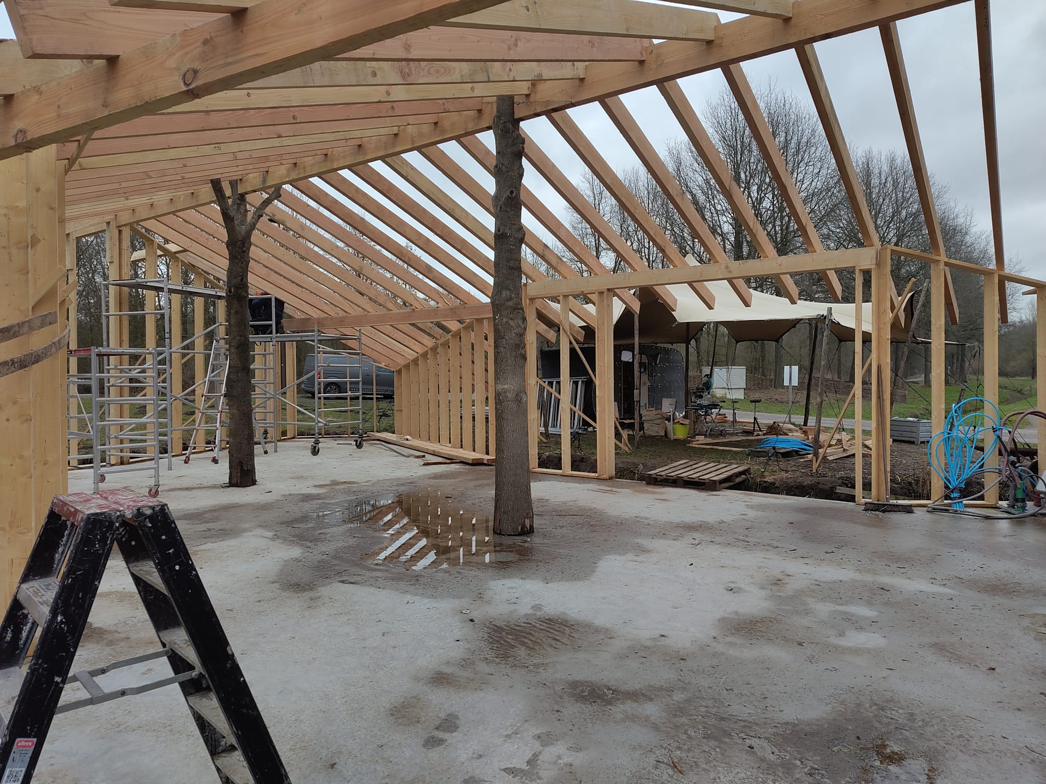 Boom geïntegreerd in houten ontvangstgebouw – Landgoed Energy Up Ontvangstgebouw op Landgoed Energy Up met houten dakconstructie en bestaande boom geïntegreerd in de ruimte als voorbeeld van organische architectuur
